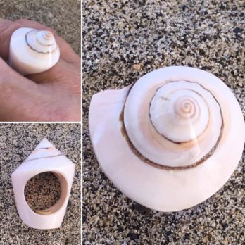 Bague coquillage Taille 58 ref BGCQL1